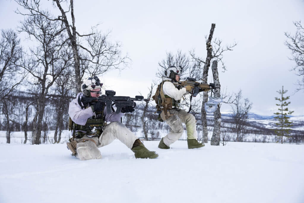 Telemark Bataljon (TMBN) fremfører en demo under vinterøvelse Cold Response 2026.